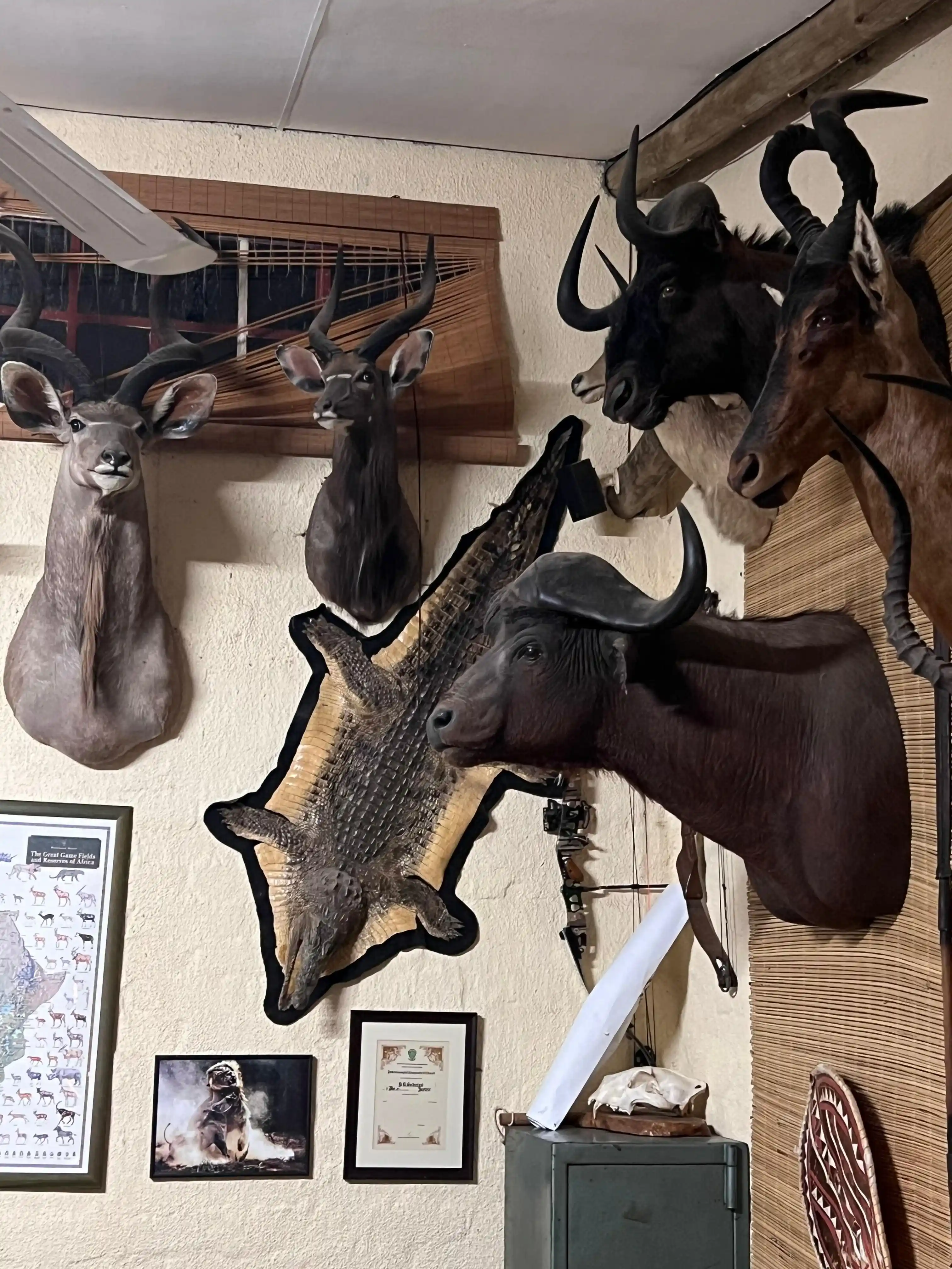 Curso de Cazador Profesional - Imagen 13